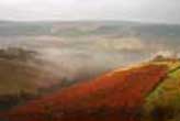 Goyt Valley, Peak District