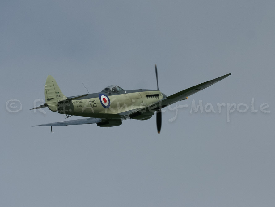 SEAFIRE Mk.F.XVII SX336
