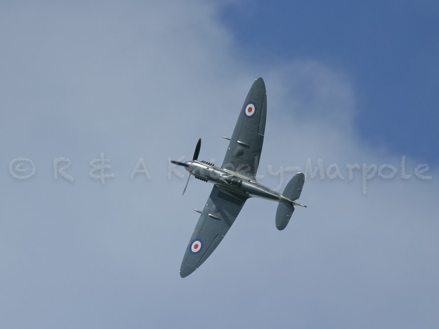 SEAFIRE Mk.F.XVII SX336