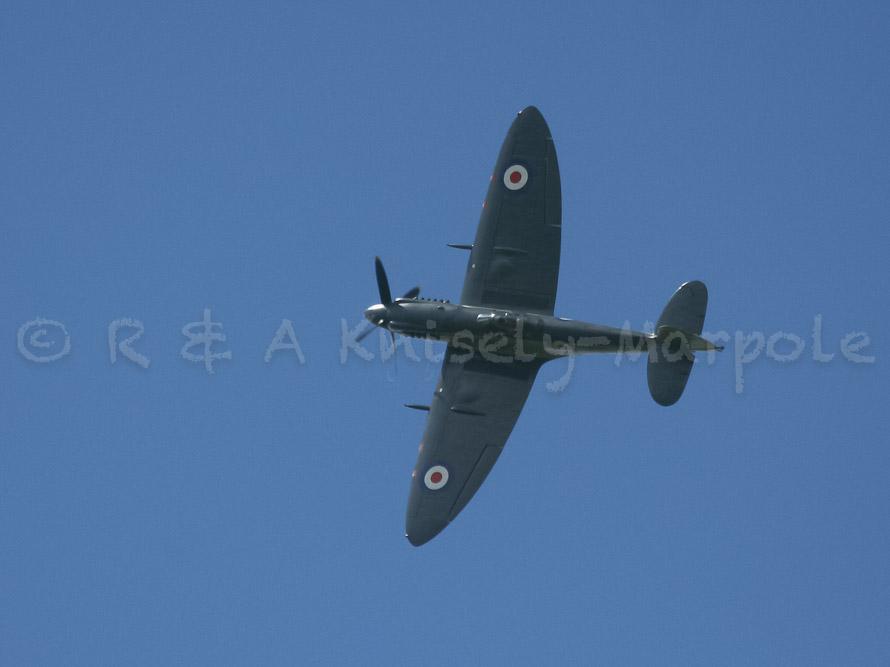 SEAFIRE Mk.F.XVII SX336