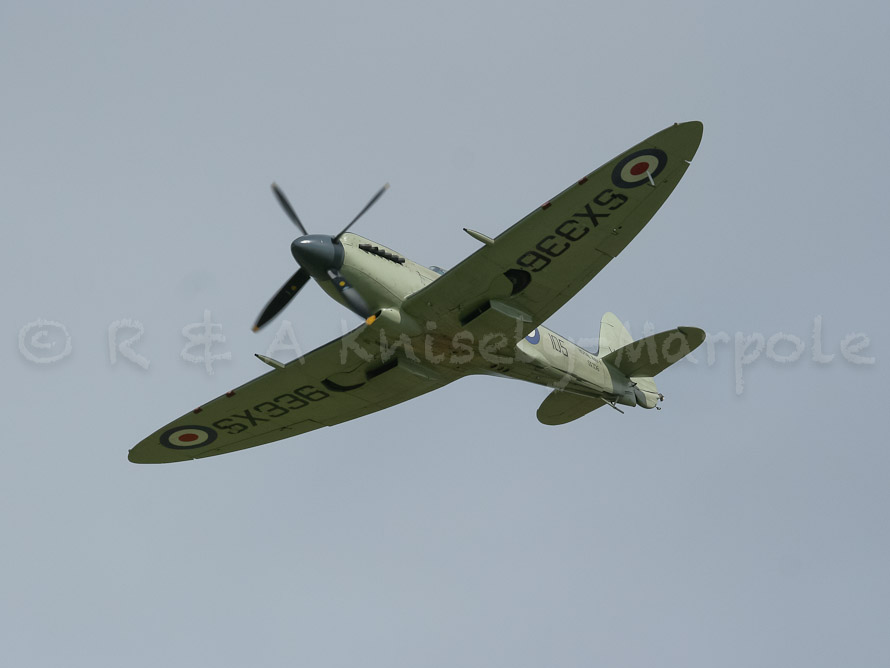 SEAFIRE Mk.F.XVII SX336