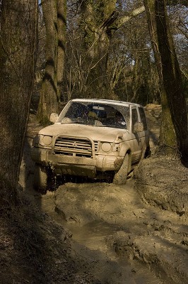 _MG_2911.jpg
