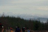 IMG_6243.jpg