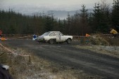 IMG_6245.jpg