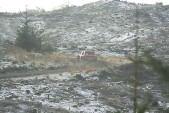 IMG_6262.jpg